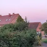 Steffi ホームステイ