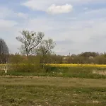 ホームステイ Steffi
