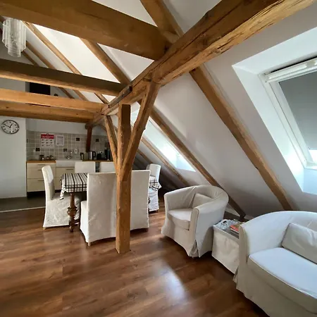 Steffi Luban (Luban)