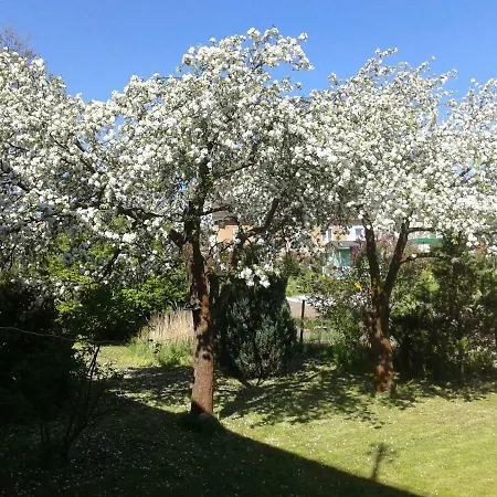 Ubytování v soukromí Steffi *