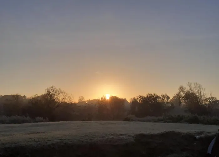 Steffi בית אירוח לובאן