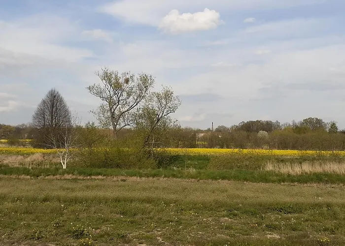 בית אירוח Steffi