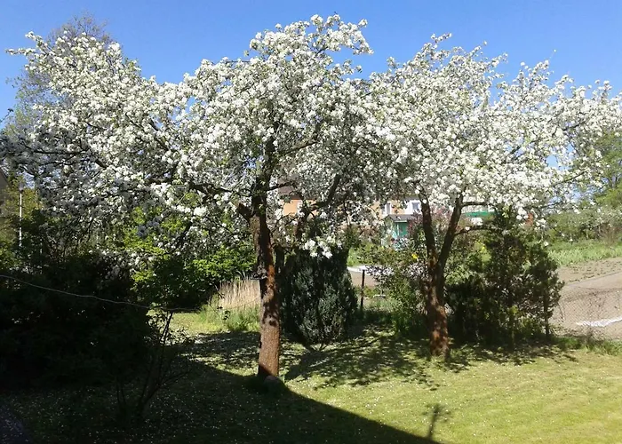 בית אירוח Steffi *